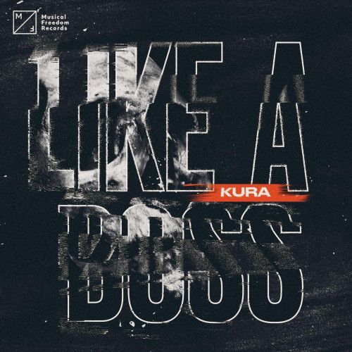 Like A Boss Like A Boss